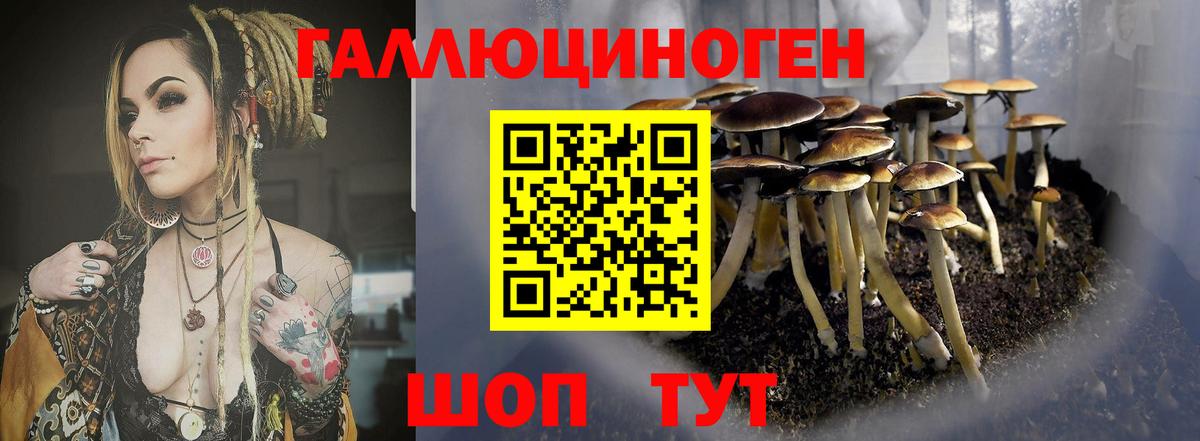 Беслан  Псилоцибиновые грибы MAGIC MUSHROOMS  Вход с VPN 